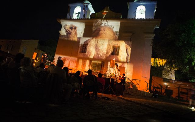 Festivoce