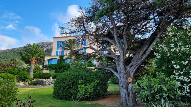 Hotel in Corsica at Algajola in Balagne